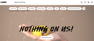 Lush website as an example of custom e-commerce software