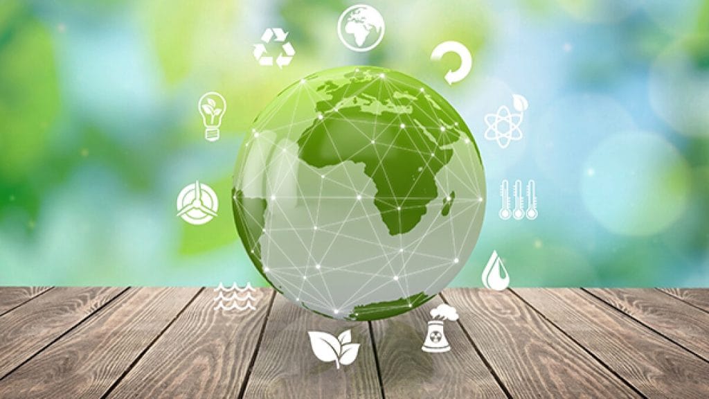 Green leaves symbolising the bank's focus on sustainability