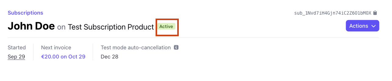 Active Stripe Subscription Screenshot